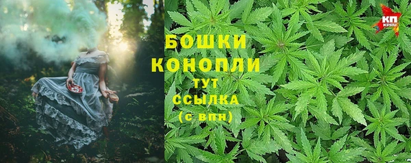 индика Гусев