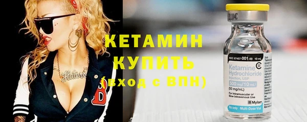 индика Гусев