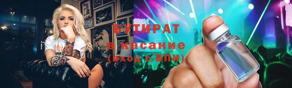 индика Гусев