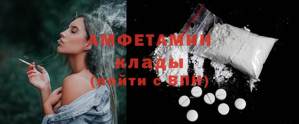 индика Гусев