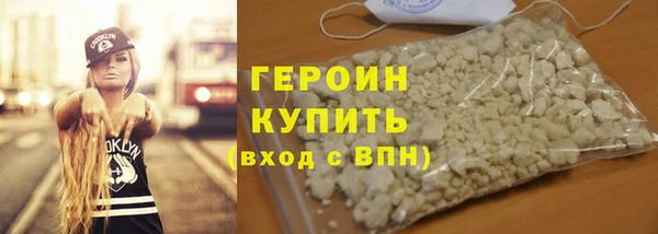 индика Гусев