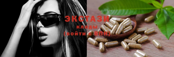 индика Гусев