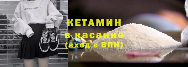 индика Гусев