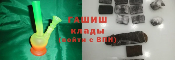индика Гусев