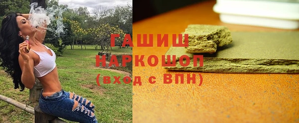 индика Гусев