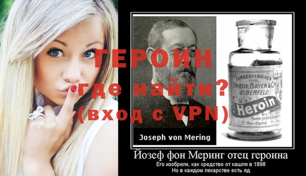 индика Гусев