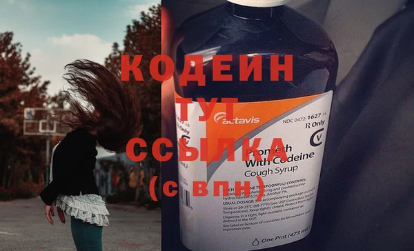 индика Гусев