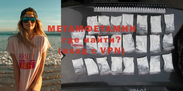 индика Гусев