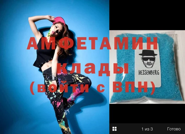 индика Гусев