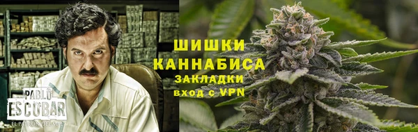 индика Гусев