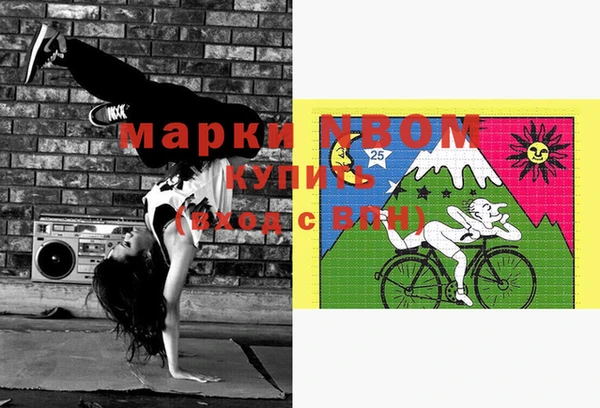 индика Гусев