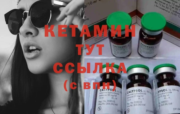 индика Гусев